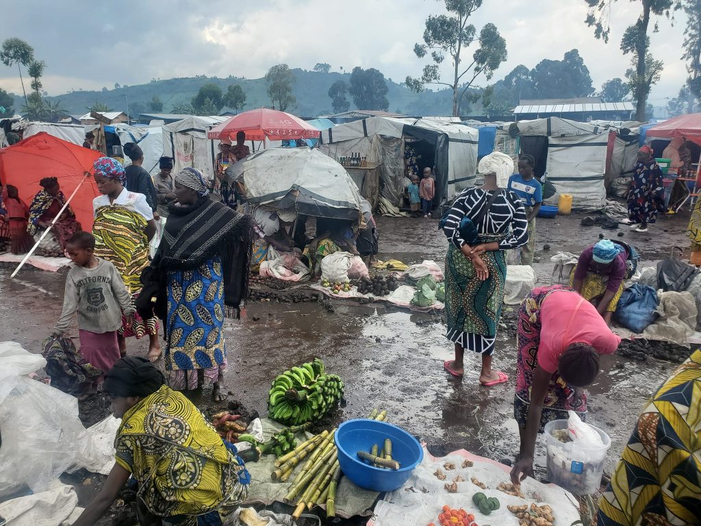 Un petit marché pour les déplacées de guerre dans le Nyiragongo