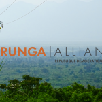 La fondation Virunga