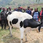 Récupération de près de 150 vaches volées par des groupes armés et leur restitution aux propriétaires