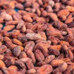 Des bétails et de tonnes de cacao emportés par des bandits à Mayuano-Masange