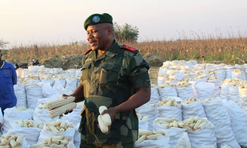 Le Service national produit le maïs en faveur de militaires et policiers