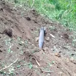 Une bombe tombe dans un pâturage sans faire des dégâts à Kirotshe