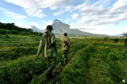 Gardien parc national des Virunga a Kibumba [Photo d'illustration]
