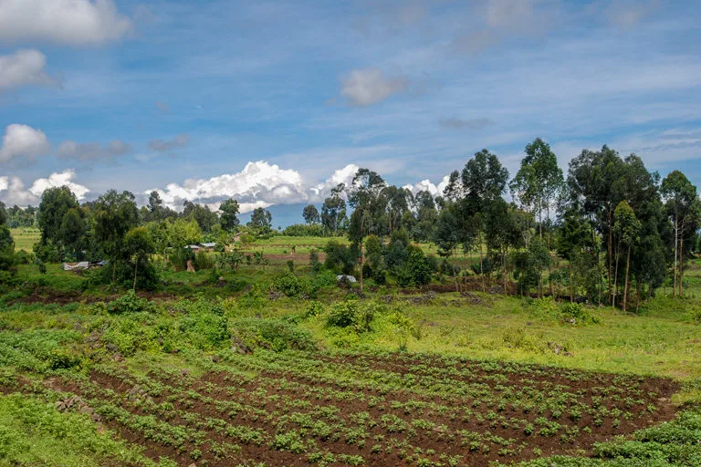 Alerte de la société civile sur la vente illégale de terres par des ressortissants Rwandais