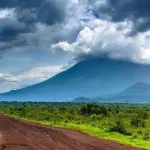 La société civile alerte sur la concentration des activités des rebelles RDF-M23 dans le Parc National des Virunga