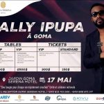 Débats enflammés autour du concert de Fally Ipupa, le gouvernement intervient